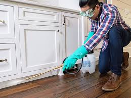 Best Residential Pest Control  in Pleasant Hill, CA